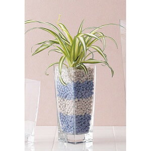 GLASS VASE EX-10-25  DL4 PASEO pZI KXt[x[X KX t[x[X t[ Ԋ ԕr K[f AeB[N 1500 v[g Mtg ؍G ؍CeA