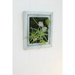 ~j`ATLgt[S VU-03  I5 COVENT GARDEN t[ fBXvC Ǌ|   IuWF tFCNO[  fR[V EH[fR Vr[ AeB[N 