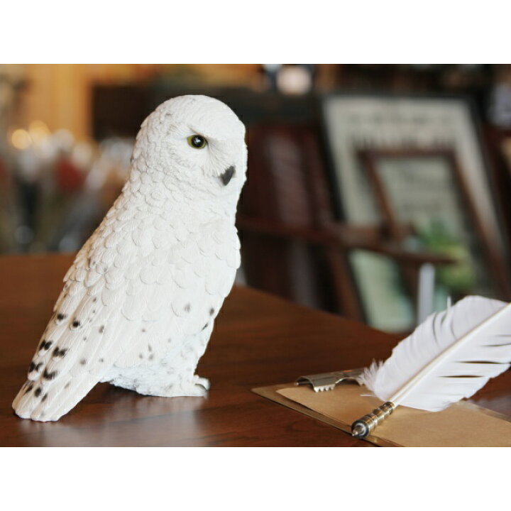 楽天市場 貯金箱 ふくろう ホワイトオウル かわいい Pet Bank 1278 Br5 Magnet ふくろう 梟 鳥 リアル かっこいい カワイイ オブジェ ディスプレイ 動物 アニマル フィギュア 小物 雑貨 置物 プレゼント 80 スタイルライフbosky
