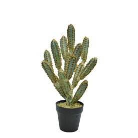 楽天市場 フェイクグリーン サボテンの通販