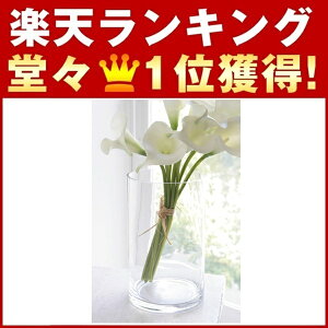u[ V_[ 20 HD-27  DL4 COVENT GARDEN RxgK[f CeA G K[fjO   r u |bg KXr Vv t[x[X r ԕr AeB[N N
