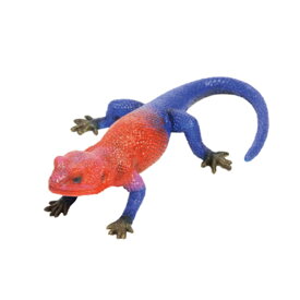 楽天市場 爬虫類 雑貨の通販