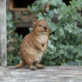 貯金箱 クアッカ かわいい PET BANK QUOKKA 57680 □□ BR5 magnet コインバンク 貯金 硬貨 キュート 動物 置物 ペット バンク インテリア コレクション インスタ 雑貨 プレゼント オーストラリア （60）