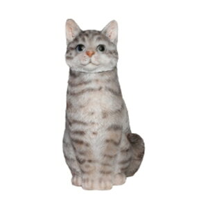 X^vP[X Lbg 57682  BR5 magnet STAMP CASE CAT ӃP[X L lR  킢 u IuWF Xe[Vi[ G ItBX  fBXvC  v[g i60j