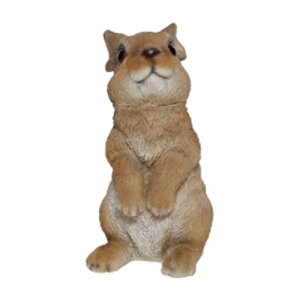 X^vP[X rbg 57684  BR5 magnet STAMP CASE RABBIT ӃP[X ETM  킢 u IuWF Xe[Vi[ G ItBX  fBXvC  v[g