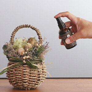 hCt[p A}Xv[ t[bg A} 57906 57907 57908  CL5 magnet FLEURETTE AROMA hCt[ tOX A} F  A t[   G v[g i60