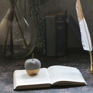 񂲂̃IuWF STEVEN 9003  BL1 magnet  Abv S u IuWF t[c ʕ G _ fBXvC O[ S[h Zg CeA ь APPLE Xe[Vi[ 