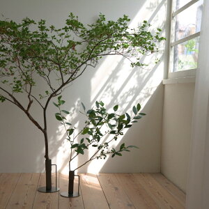 傫Ȏ}̂ďACAX^h (STCYF423792 / LTCYF423791)  CL5 shesay u̔ t[X^h } } } X^h ACA ԕr Ԃт t[x[X u