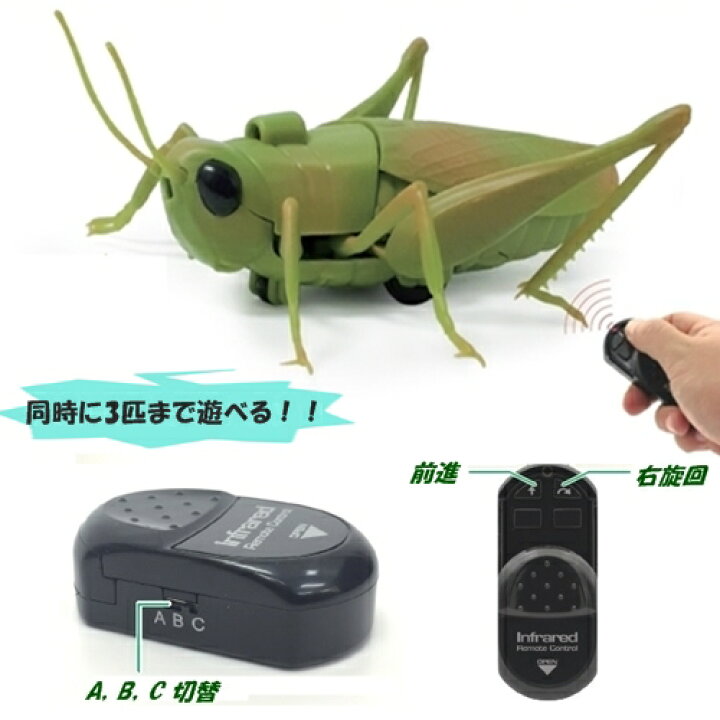 楽天市場 バッタ ラジコン 4703 Bl4 トップエース 昆虫 虫 フィギュア かっこいい コレクション かわいい 置物 オブジェ ばった 昆虫博士 バースデー 男の子 女の子 子供 誕生日 クリスマス プレゼント ギフト 60 スタイルライフbosky 楽天市場 バッタ ラジコン 4703 Bl4 トップエース 昆虫 虫 フィギュア かっこいい コレクション かわいい 置物 オブジェ ばった 昆虫博士 バースデー 男の子 女の子 子供 誕生日 クリスマス プレゼント ギフト 60 スタイルライフbosky