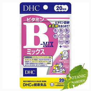 DHC r^~B~bNX 40 (20)