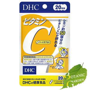 DHC �r�^�~��C 40�� (20����)