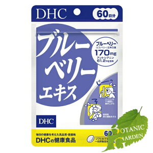 DHC u[x[GLX 120 (60)