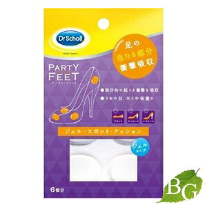 hN^[V[ p[eB[tB[g WFEX|bgENbV 6