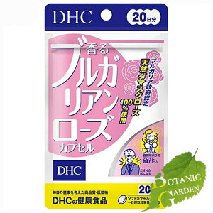 DHC uKA[Y 40 (20)