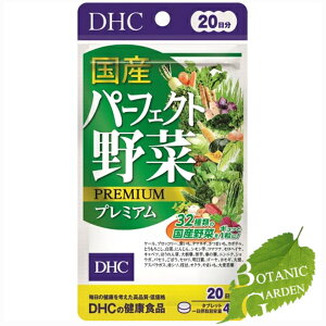 DHC Yp[tFNg؃v~A 80 (20)