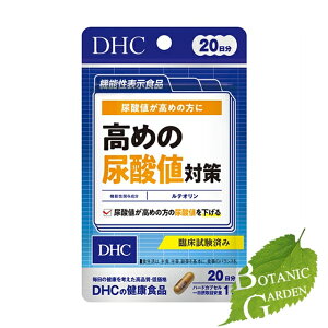 yzDHC fB[GC`V[ 20߂̔A_l΍ 20