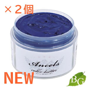 yzyVFzGVF[Y J[o^[ Cu[ 200g×2Zbg