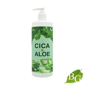 yznbs[o[X CICA&ALOE(VJ&AG)XL[V 500ml