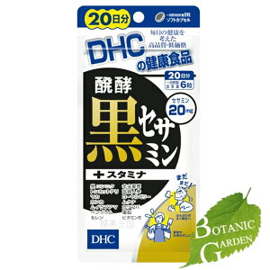 DHC yZT~+X^~i 120 (20)