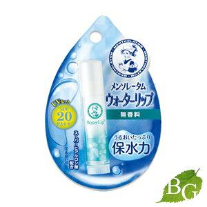 [g \[^ EH[^[bv () 4.5g (SPF20 PA++)