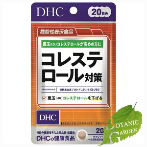 DHC RXe[΍ 40 20