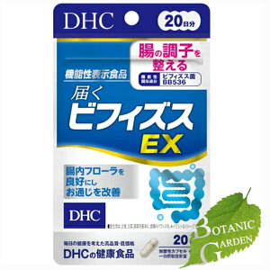 DHC ͂rtBYXEX 20 (20)