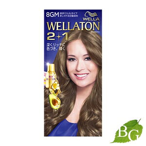 yňl풆zEGg[ c[vX (2+1) t^Cv 8GM