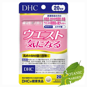 DHC EGXgCɂȂ 40 (20)