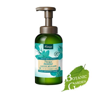 yzNiCv A{fBEHbV s[Xt[g ANAn[o̍ 450g