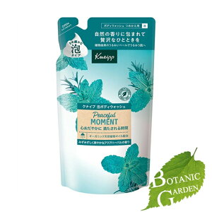 yňl풆zNiCvWp NiCv A{fBEHbV s[Xt[g ANAn[o̍ lߑւ 400g