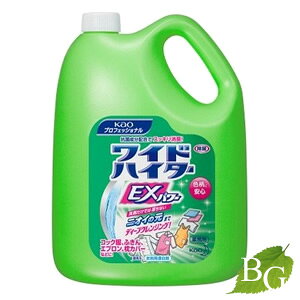 yzԉ ChnC^[ EXp[ Ɩp 4.5L