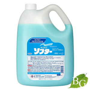 ԉ \t^[ _ Ɩp 4.5L