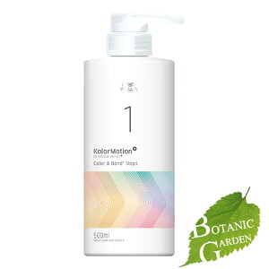 �E�G�� �J���[���[�V����+ �J���[&�{���h STEP1 500ml