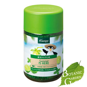 �N�i�C�v �o�X�\���g ���C���~���g�̍��� 850g