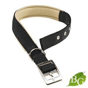 C^AferplastА fCgi DAYTONA C 20/43 ubN   35`43cm