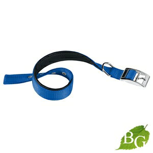 C^AferplastА fCgi DAYTONA C 30/55 u[   4755cm