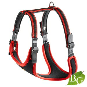 C^AferplastА ERGO COMFORT GSRtH[g n[lX XL bh p 50kg܂ U 