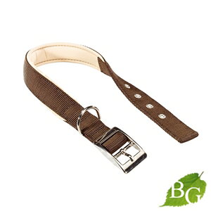 C^AferplastА fCgi DAYTONA C 25/53 uE   4553cm