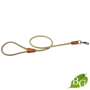 C^AferplastА _[r[ DERBY [h G10/110 O[  [ [h ۃObY Upi o UObY