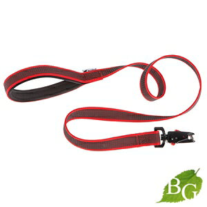 C^AferplastА fCgi K~[ }eBbN DAYTONA GUMMY MATIC [h G20/120 bh  [ Lk [h ۃObY Upi o UObY