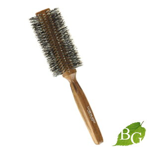 �T���r�[ �u���V SR-402SP