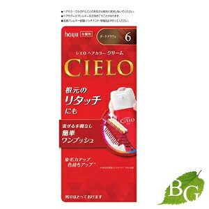 z[[ VG wAJ[EX N[ 6 _[NuE Tꔄi