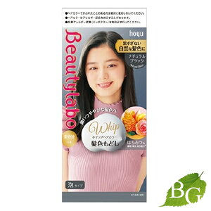 z[[ r[eB{ zCbvwAJ[ Fǂ i`ubN Tꔄi