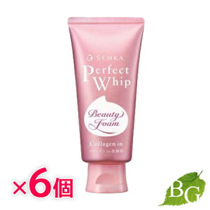   ZJ p[tFNgzCbv R[Q in A 120g×6Zbg