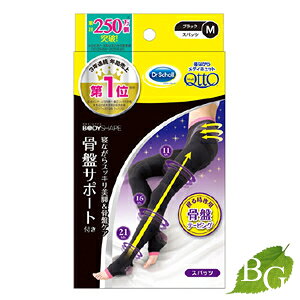 yzhN^[V[ QȂ烁fBLbg {fBVFCv  T|[g  Xpbc ubN M