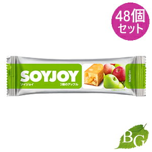 yzː \CWC SOYJOY 2̃Abv 48Zbg