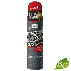 �z�[���[ �r���[�e�B�[�� �����߃X�v���[ 80g �T�����ꔄ�i