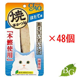 yzȂ Ė{ قĖ 1{×48