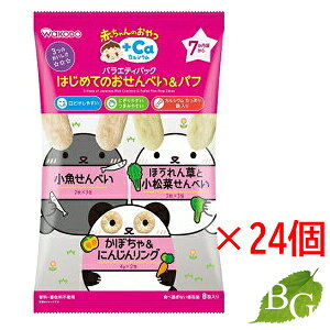 a Ԃ̂+Ca JVE oGeBpbN ͂߂Ăׂ̂pt 28g×24Zbg