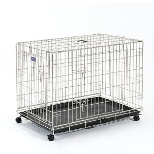 yz t@^W[[h SIMPLY Vv[ ] XeX Q[W T[N P[W   ybgp XLTCY XL